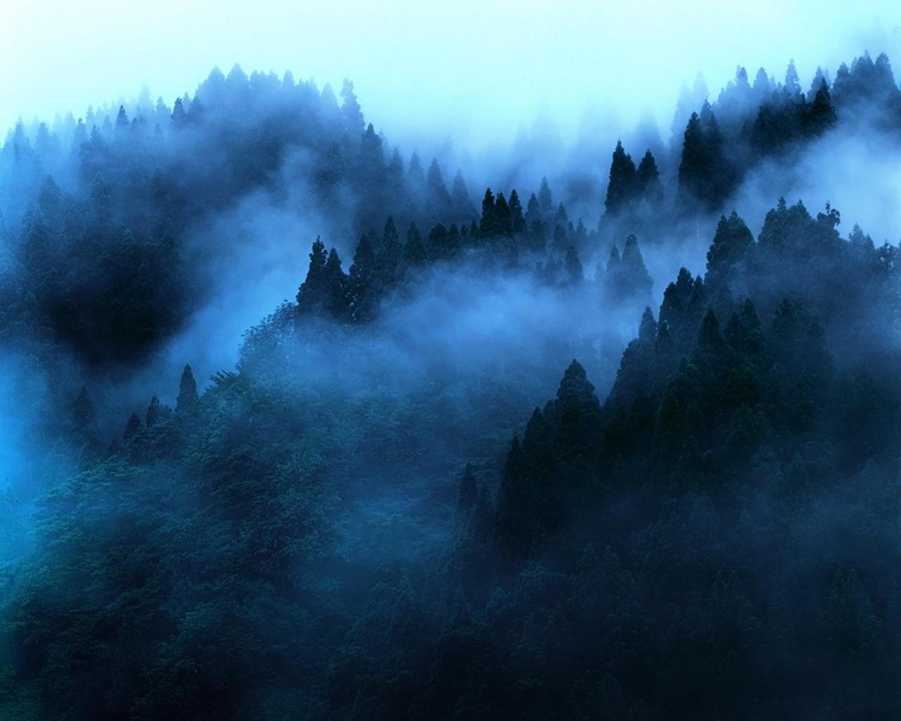 埃拉"Mount'N Mist"公寓 外观 照片