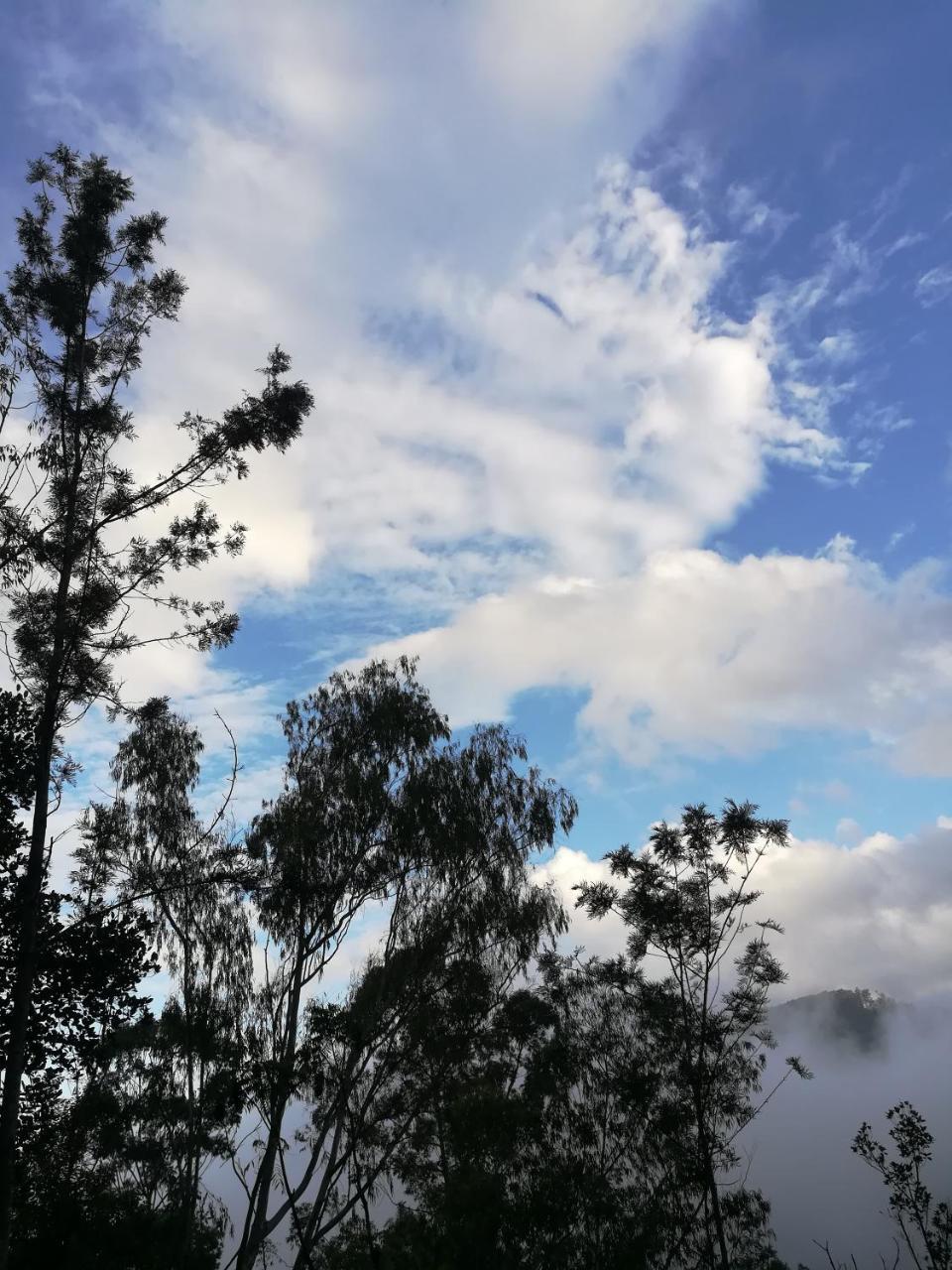 埃拉"Mount'N Mist"公寓 外观 照片