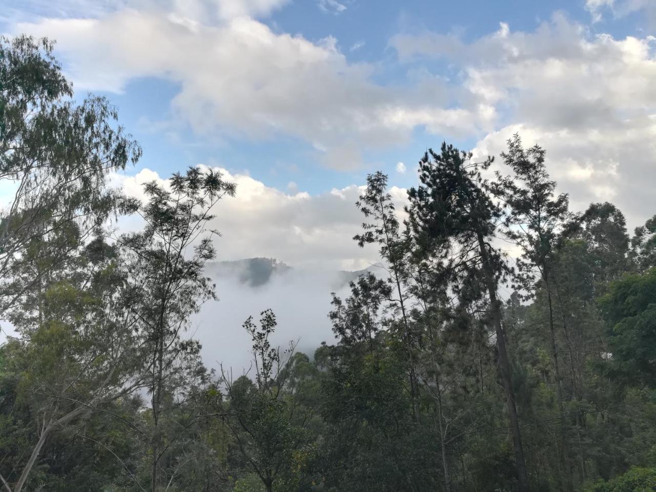 埃拉"Mount'N Mist"公寓 外观 照片