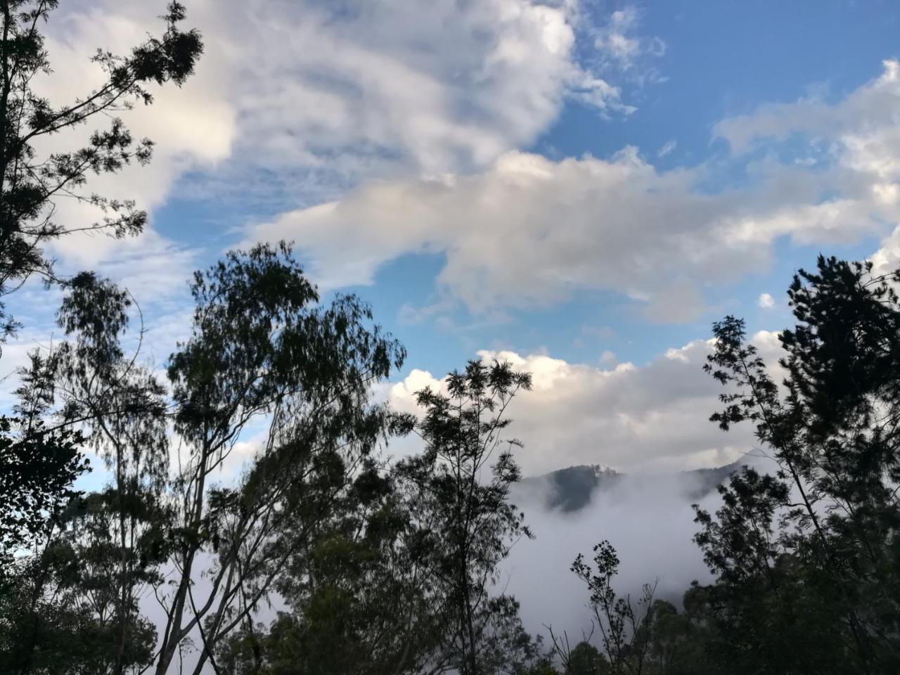 埃拉"Mount'N Mist"公寓 外观 照片