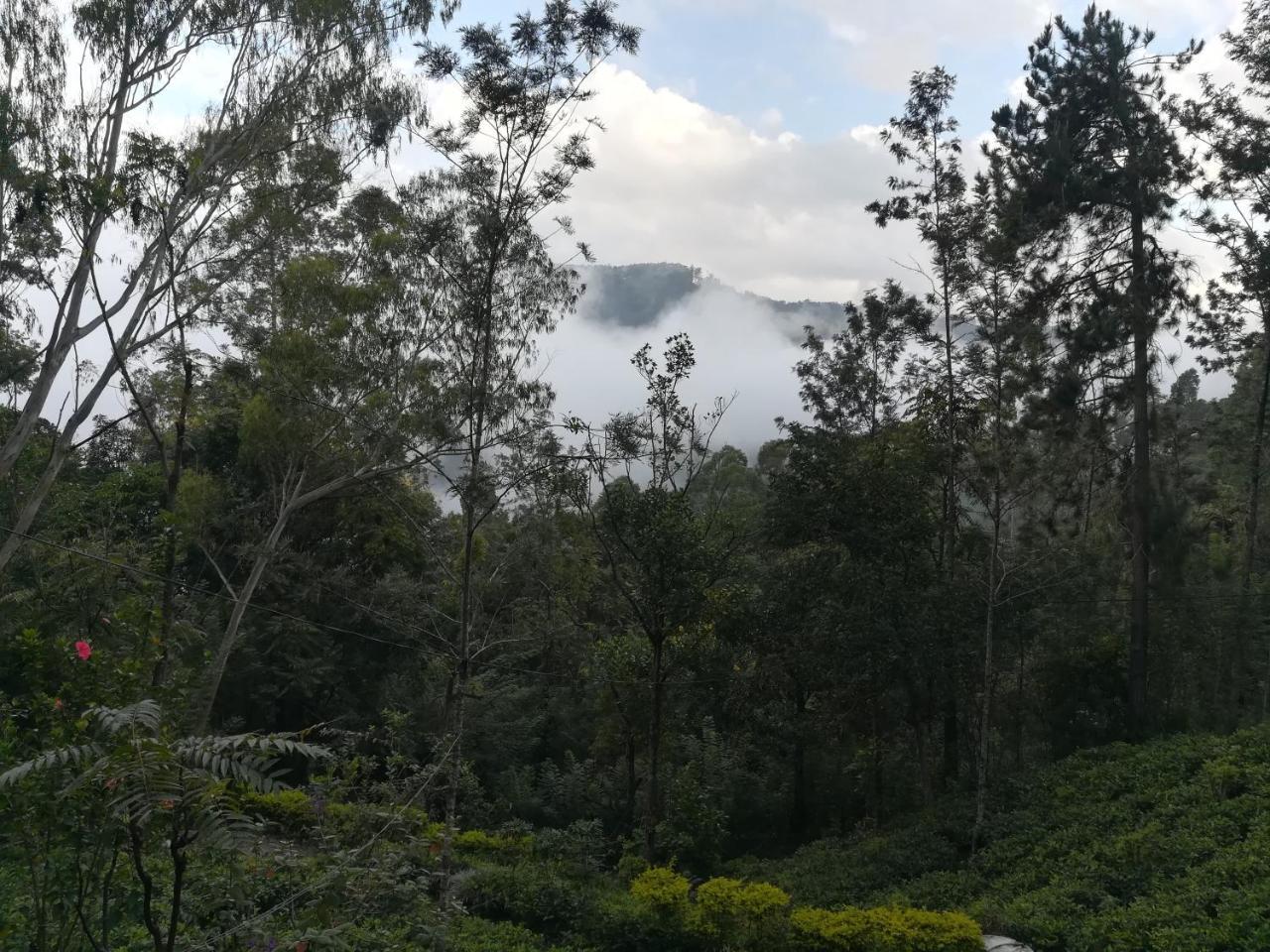 埃拉"Mount'N Mist"公寓 外观 照片