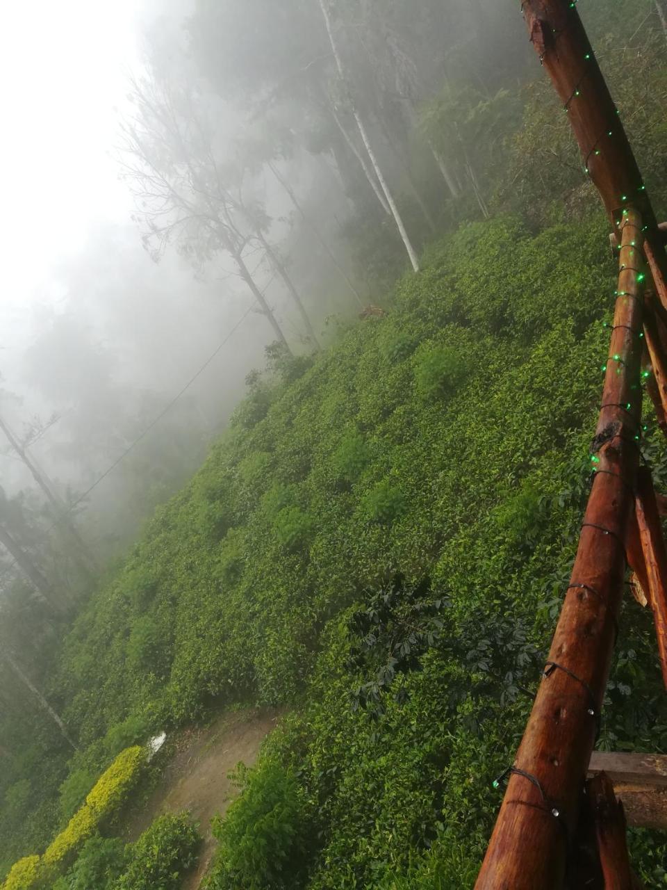 埃拉"Mount'N Mist"公寓 外观 照片